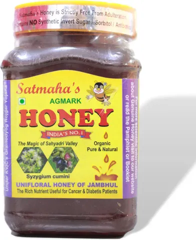 Honey (500 gm) - Satmaha